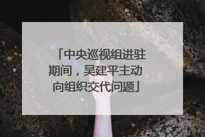 中央巡视组进驻期间，吴建平主动向组织交代问题