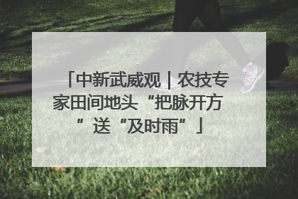 中新武威观｜农技专家田间地头“把脉开方”送“及时雨”