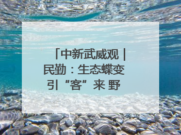 中新武威观｜民勤：生态蝶变引“客”来 野生动物乐逍遥