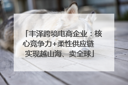 丰泽跨境电商企业：核心竞争力+柔性供应链 实现越山海、卖全球