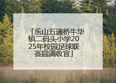 乐山五通桥牛华镇二码头小学2025年校园足球联赛圆满收官