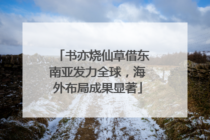书亦烧仙草借东南亚发力全球，海外布局成果显著