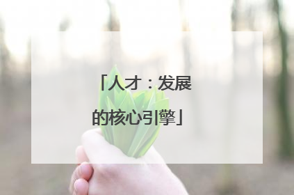 人才：发展的核心引擎