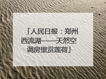 人民日报：郑州西流湖——天然空调房里赏莲荷