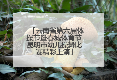 云南省第六届体操节暨春城体育节昆明市幼儿操舞比赛精彩上演