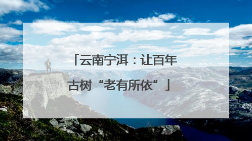 云南宁洱：让百年古树“老有所依”