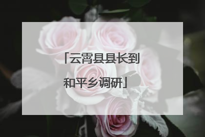 云霄县县长到和平乡调研