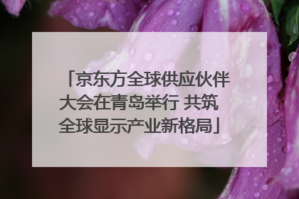 京东方全球供应伙伴大会在青岛举行 共筑全球显示产业新格局