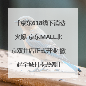 京东618线下消费火爆 京东MALL北京双井店正式开业 掀起全城打卡热潮