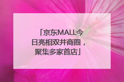 京东MALL今日亮相双井商圈，聚集多家首店