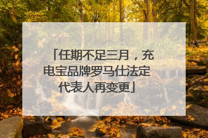 任期不足三月，充电宝品牌罗马仕法定代表人再变更