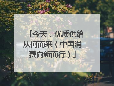 今天，优质供给从何而来（中国消费向新而行）