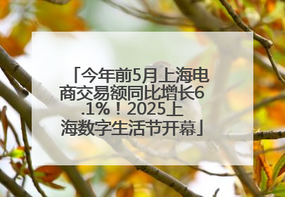 今年前5月上海电商交易额同比增长6.1%！2025上海数字生活节开幕