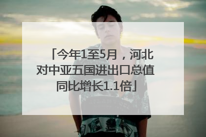 今年1至5月，河北对中亚五国进出口总值同比增长1.1倍