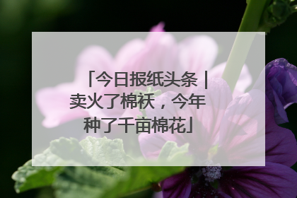 今日报纸头条｜卖火了棉袄，今年种了千亩棉花
