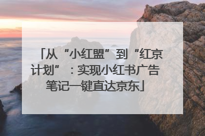 从“小红盟”到“红京计划”：实现小红书广告笔记一键直达京东