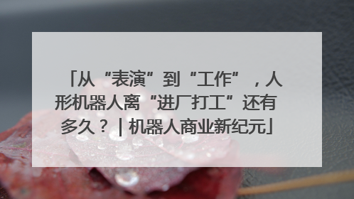 从“表演”到“工作”，人形机器人离“进厂打工”还有多久？｜机器人商业新纪元