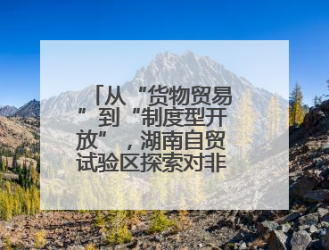 从“货物贸易”到“制度型开放”，湖南自贸试验区探索对非合作新模式