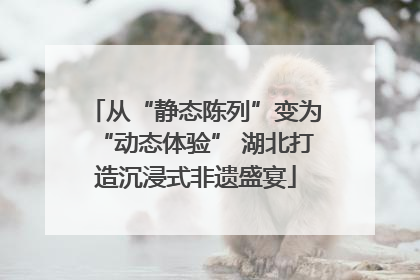 从“静态陈列”变为“动态体验” 湖北打造沉浸式非遗盛宴