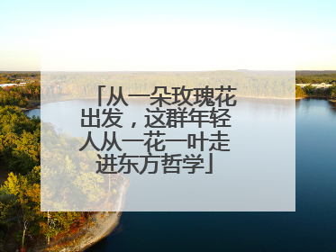 从一朵玫瑰花出发，这群年轻人从一花一叶走进东方哲学