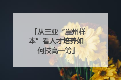 从三亚“崖州样本”看人才培养如何技高一筹