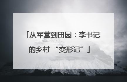 从军营到田园：李书记的乡村 “变形记”