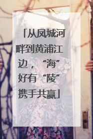 从凤城河畔到黄浦江边，“海”好有“陵”携手共赢