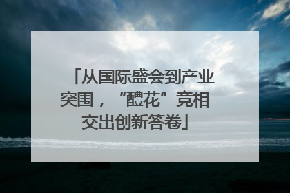从国际盛会到产业突围，“醴花”竞相交出创新答卷