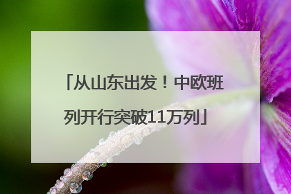 从山东出发！中欧班列开行突破11万列