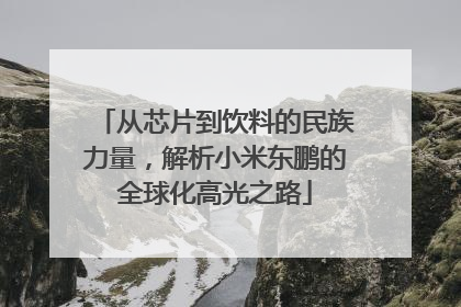从芯片到饮料的民族力量，解析小米东鹏的全球化高光之路