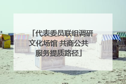代表委员联组调研文化场馆 共商公共服务提质路径