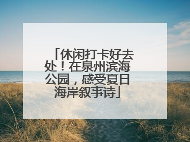 休闲打卡好去处！在泉州滨海公园，感受夏日海岸叙事诗