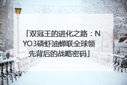 双冠王的进化之路：NYO3磷虾油蝉联全球领先背后的战略密码