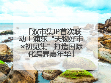 双市集IP首次联动！浦东“天物好市×初见集”打造国际化跨界嘉年华