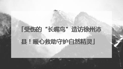 受伤的“长嘴鸟”造访徐州沛县！暖心救助守护自然精灵