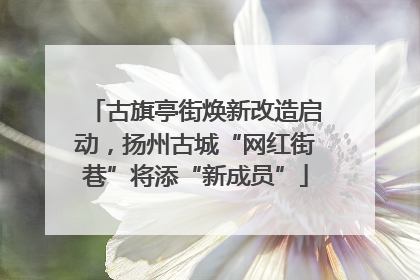 古旗亭街焕新改造启动，扬州古城“网红街巷”将添“新成员”