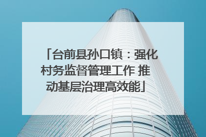 台前县孙口镇：强化村务监督管理工作 推动基层治理高效能