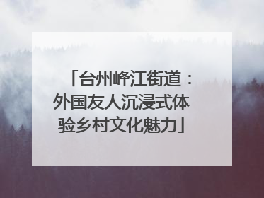 台州峰江街道：外国友人沉浸式体验乡村文化魅力