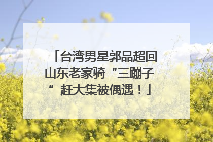 台湾男星郭品超回山东老家骑“三蹦子”赶大集被偶遇！