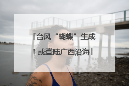 台风“蝴蝶”生成！或登陆广西沿海