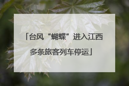 台风“蝴蝶”进入江西 多条旅客列车停运