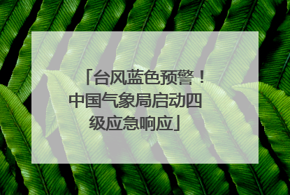 台风蓝色预警！中国气象局启动四级应急响应