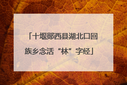 十堰郧西县湖北口回族乡念活“林”字经