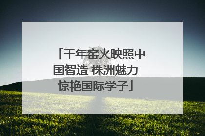 千年窑火映照中国智造 株洲魅力惊艳国际学子