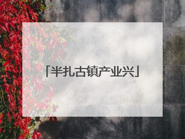 半扎古镇产业兴
