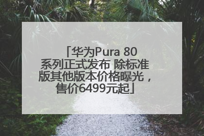 华为Pura 80系列正式发布 除标准版其他版本价格曝光，售价6499元起