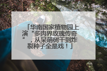 华南国家植物园上演“多肉界玫瑰传奇”，从呆萌树干到炸裂种子全是戏！