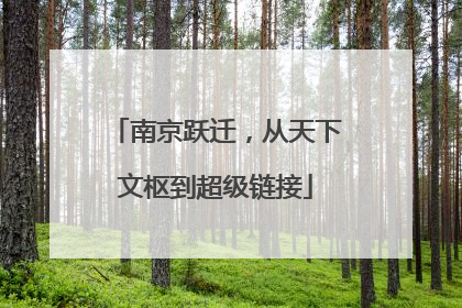 南京跃迁，从天下文枢到超级链接
