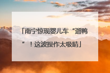 南宁惊现婴儿车“遛鸭”！这波操作太吸睛