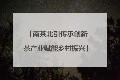 南茶北引传承创新 茶产业赋能乡村振兴
